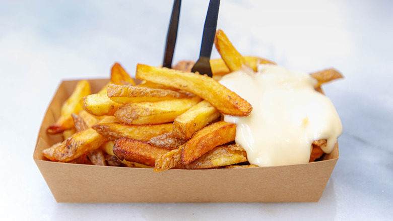 Fries with fritessaus