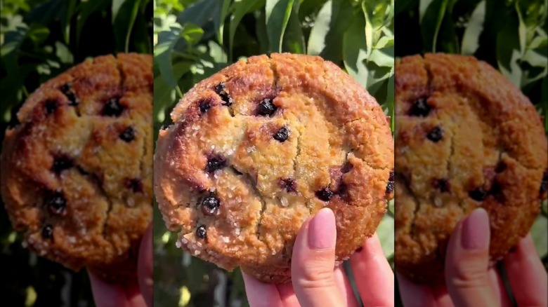 Hand holding Lemon Blueberry cookie
