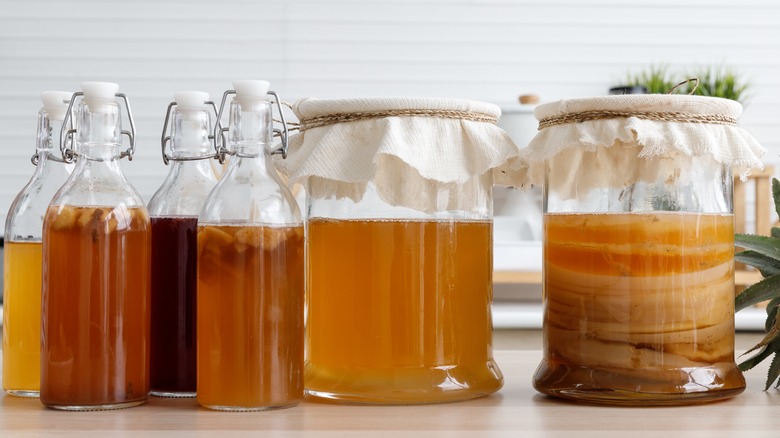 bottles of kombucha