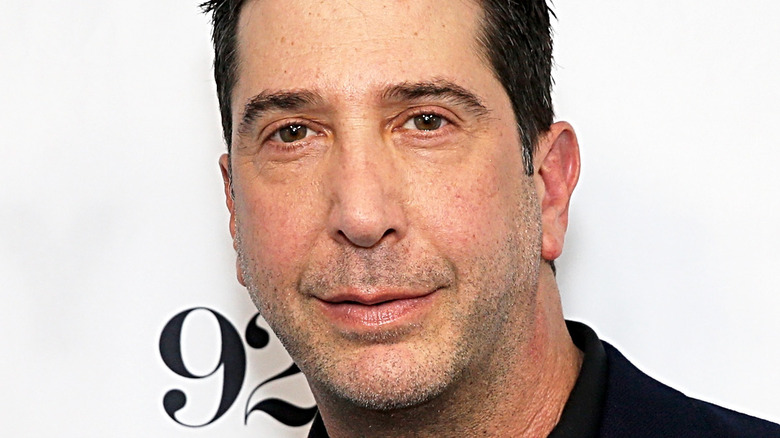 David Schwimmer smiling at camera