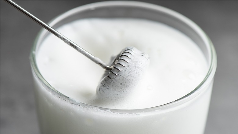 Milk frother in frothed milk 