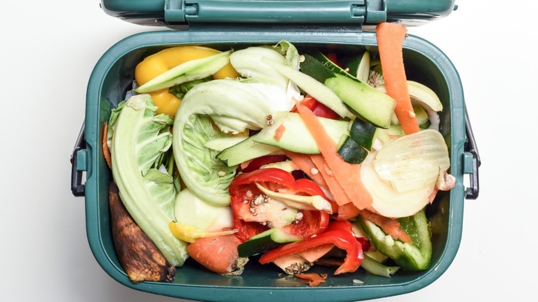 Compost bin filled with vegetables