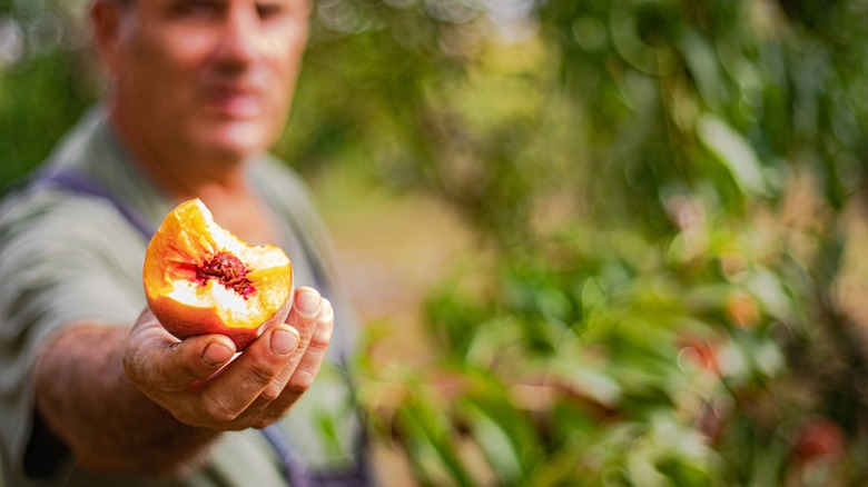 A man holding a partially eaten peach