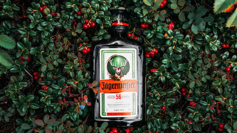 a bottle of jagermeister