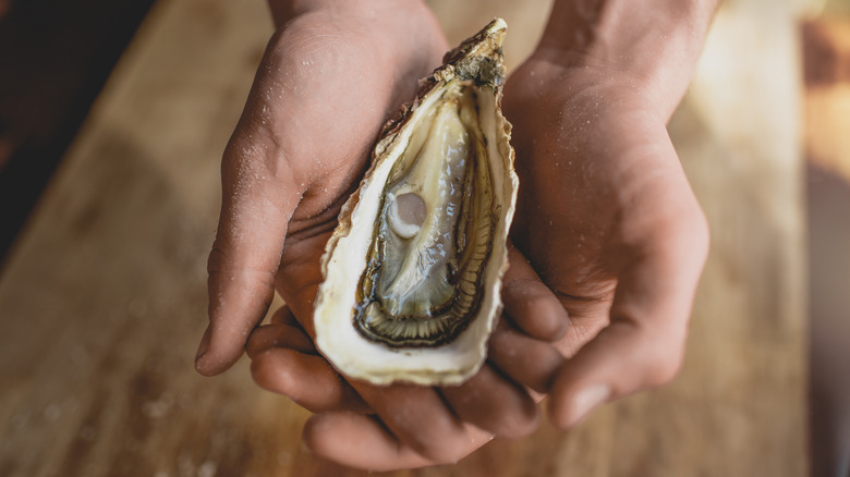 A fresh oyster