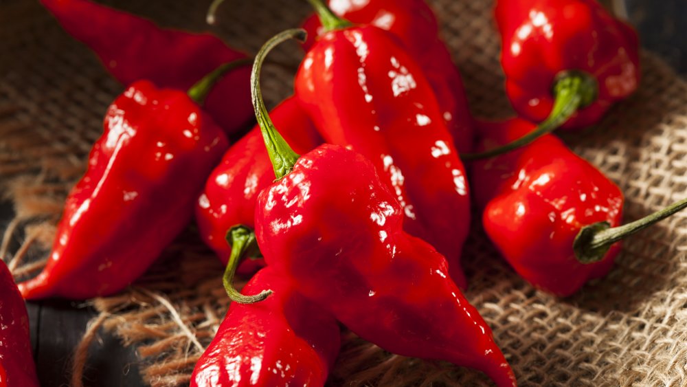 Ghost peppers
