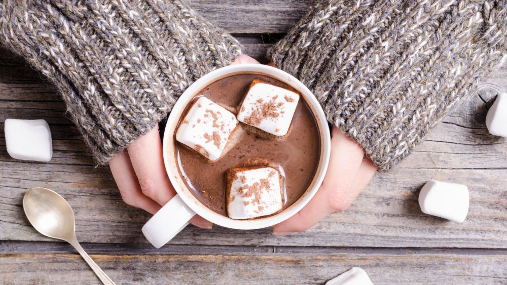 Hands holding a cup of hot chocolate with marshmallows