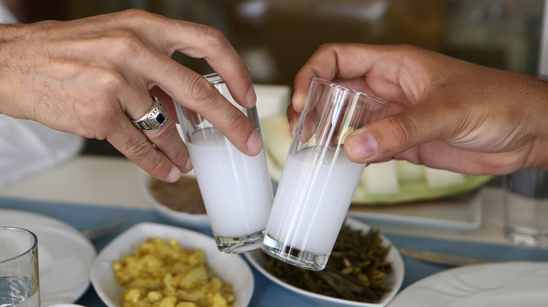 Turkish alcoholic drink raki