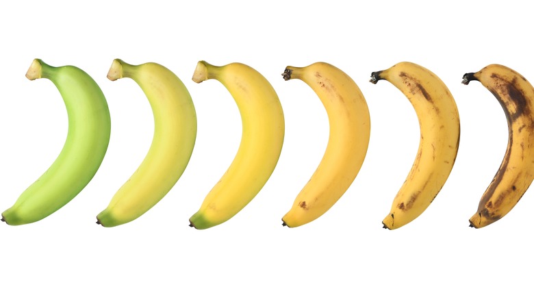 Bananas lined up by ripeness