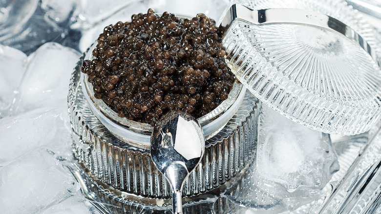 Caviar in glass jar