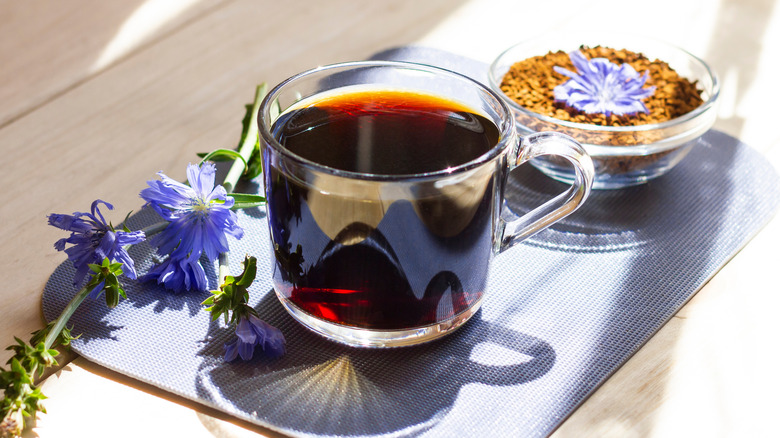 chicory coffee with purple chicory flowers