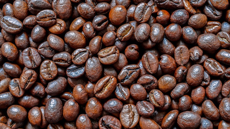 Coffee beans close-up