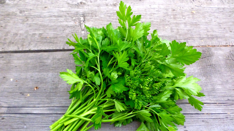 Cilantro is never on Barefoot Contessa