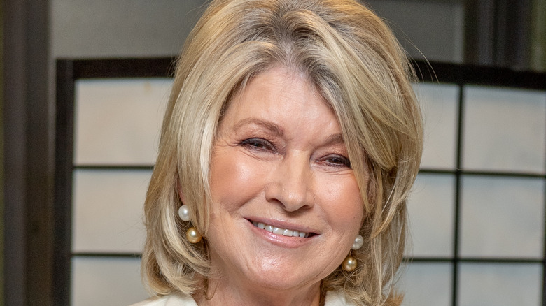 Martha Stewart close-up