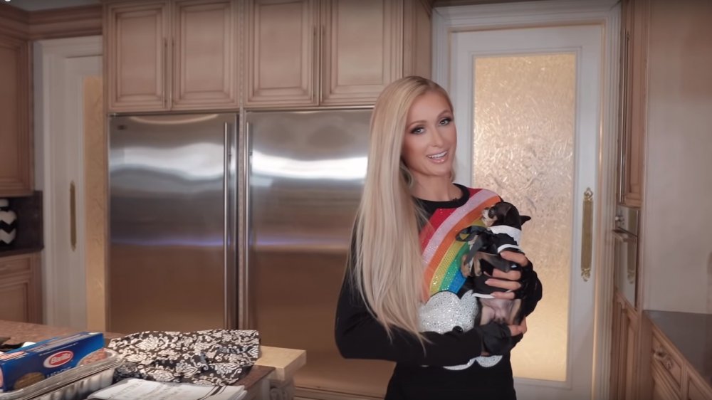 Paris Hilton and chihuahua