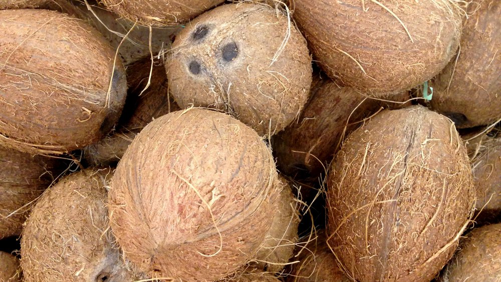 Coconuts