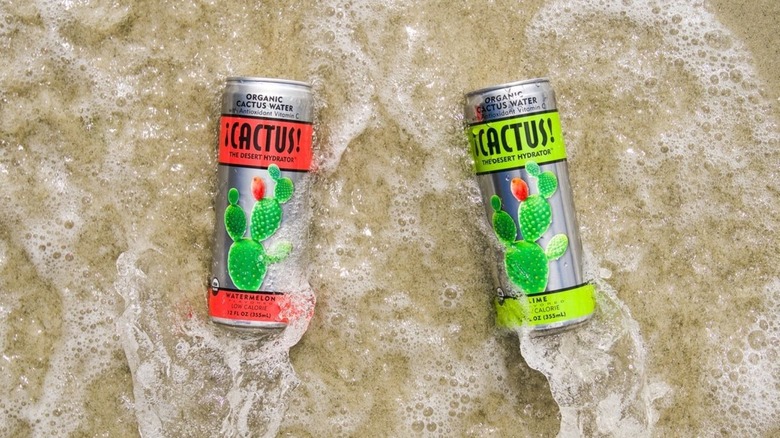 Cactus water in brown sand