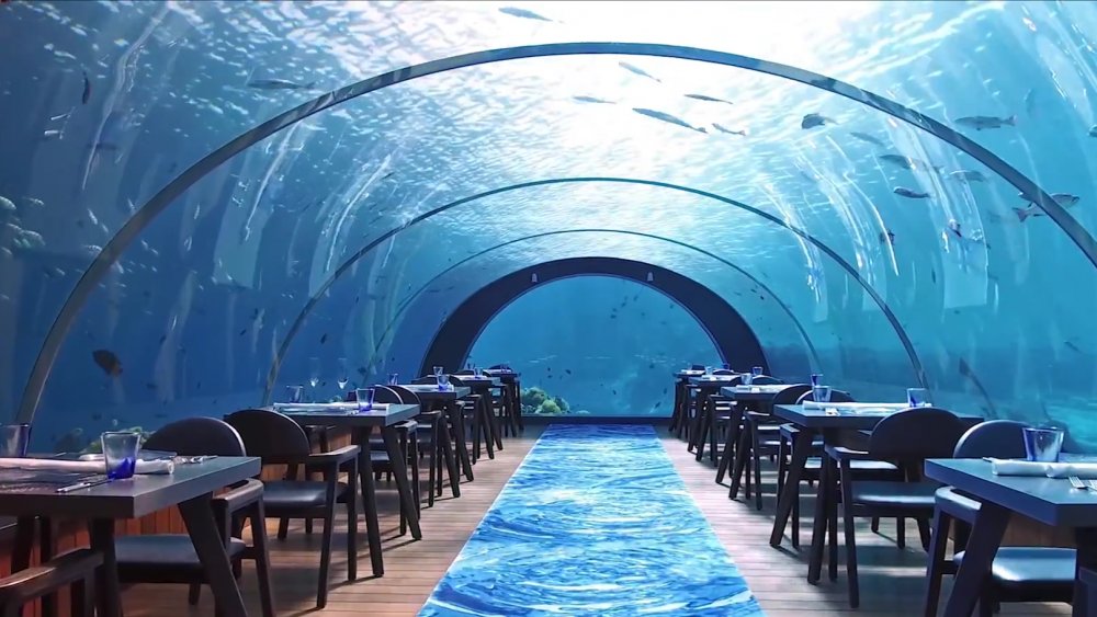 5.8 Undersea Restaurant