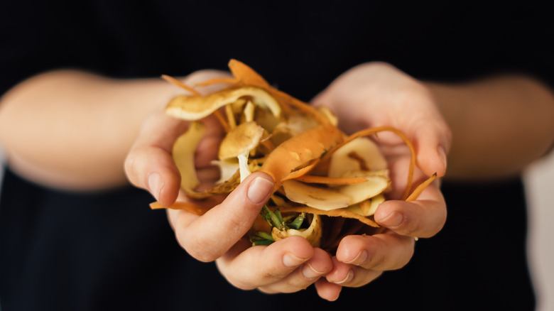 Hands holding food waste