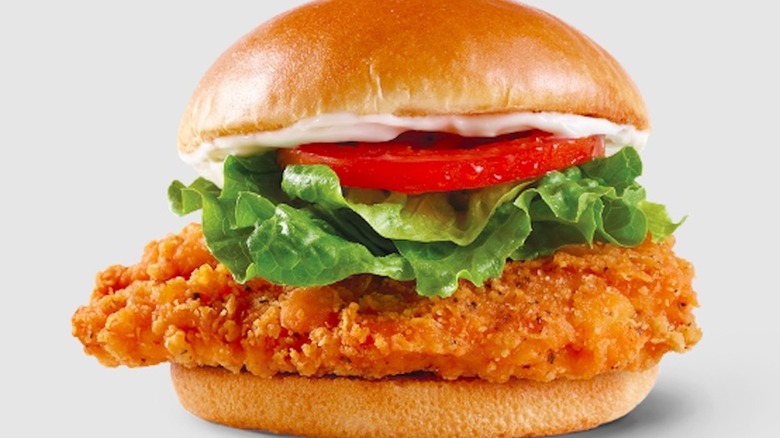 Wendy's spicy chicken sandwich with white background