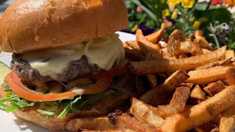 elk burger with fries