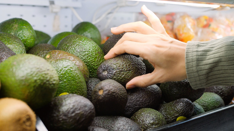 Avocados in grocery store