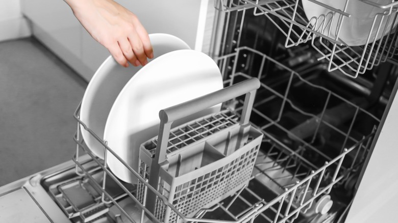 Person putting plate into dishwasher