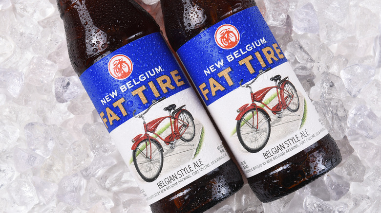 Pair of Fat Tire bottles on ice