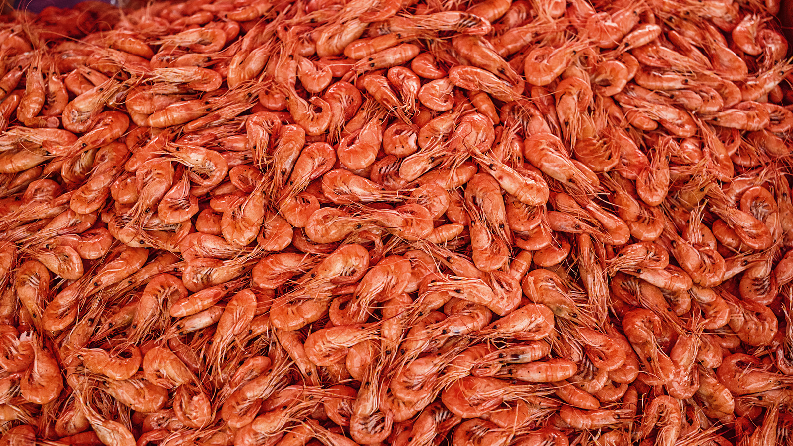 The Unbelievable Amount Of Shrimp In The World's Largest Shrimp Cocktail