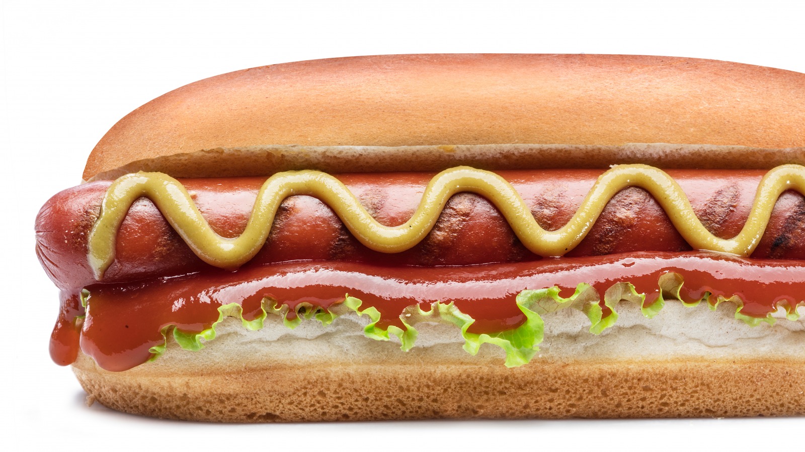 Plain Dog (Dogs)