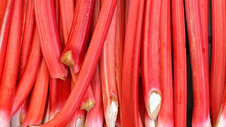 stalks of rhubarb