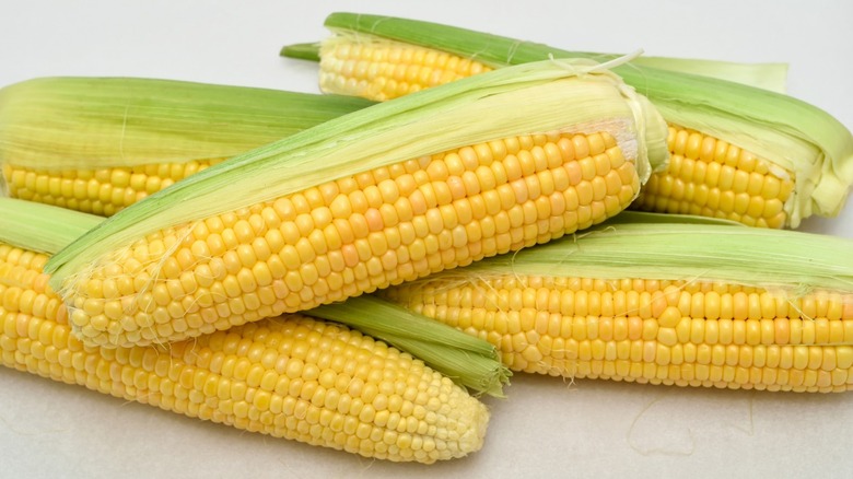 Corn on the cob 