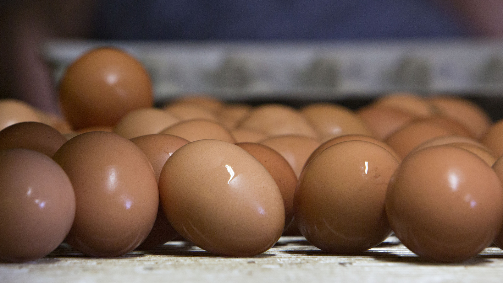 The Unexpected Reason Organic Eggs Might More Expensive