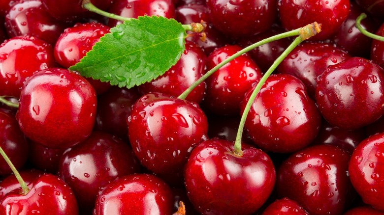 Red Cherries 