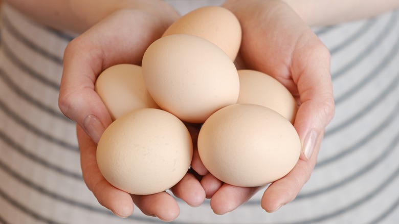 Person holding chicken eggs in their hand