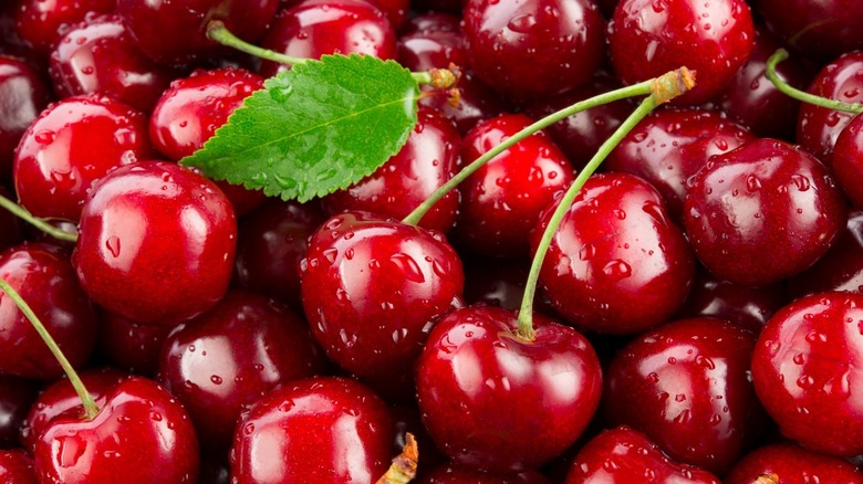 Bunches of cherries with water droplets