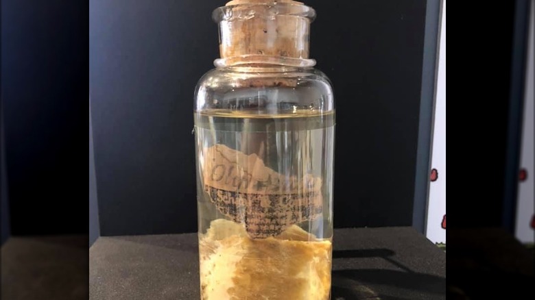 bottle from Kentucky meat shower
