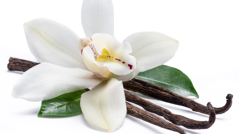 Vanilla pods and flower