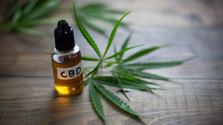 cbd oil