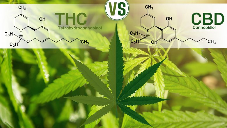 thc/ cbd