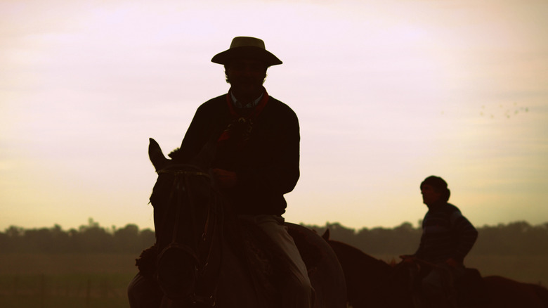 Gaucho on horseback 