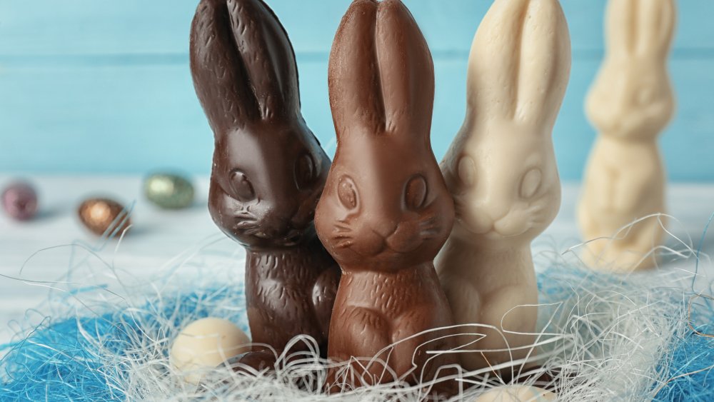 Chocolate easter bunny