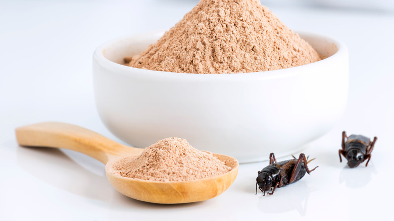 Cricket flour in bowl 