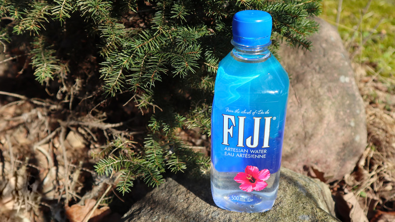 fiji water bottle on rock artesian water
