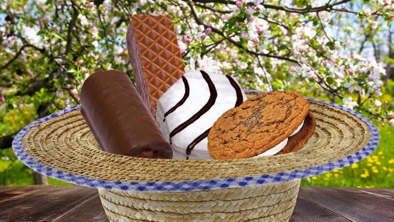 little debbie snack cakes
