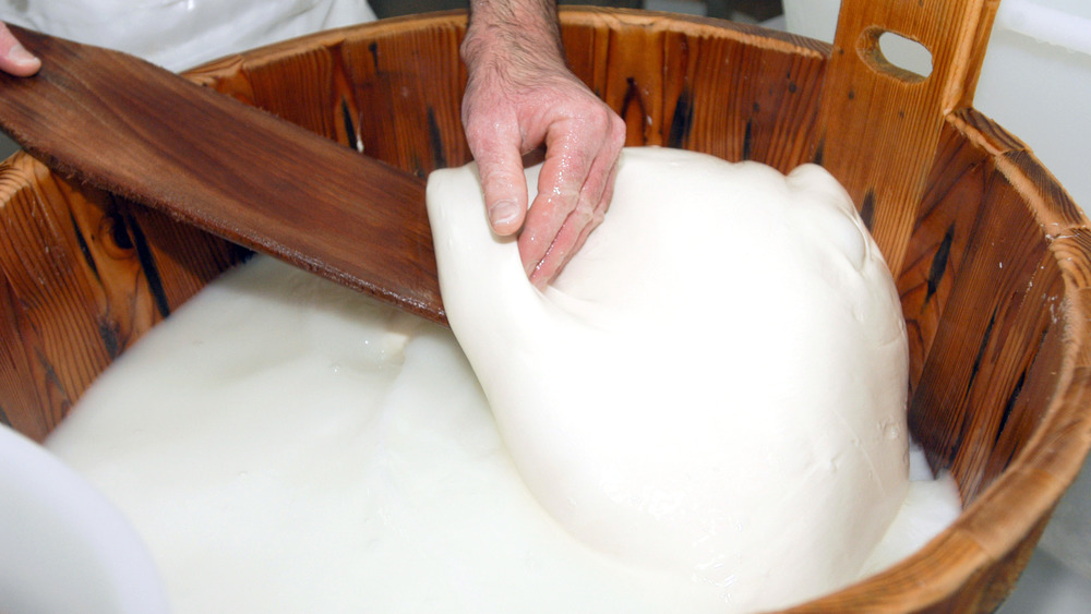 Person making mozzarella