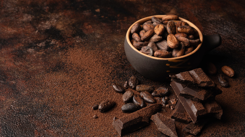 cacao beans with broken pieces of chocolate
