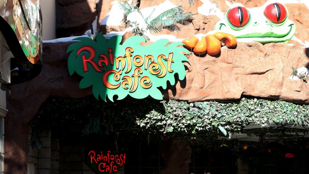 Rainforest Cafe in Niagra Falls, Canada