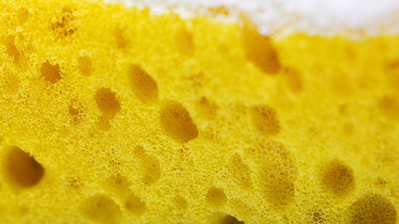 Scrub Mommy vs. Scrub Daddy: Which Sponge Parent Is More Worth Your Money?