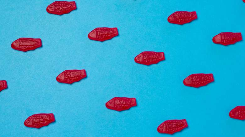 red Swedish Fish candies on blue background